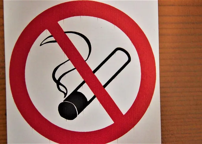 Pink House Apartament