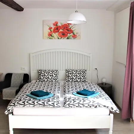 Pink House 아파트 류블랴나